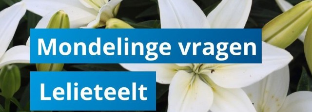 Lelieteelt._mondelingVragen.jpg